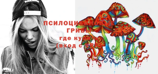 прущая мука Алзамай