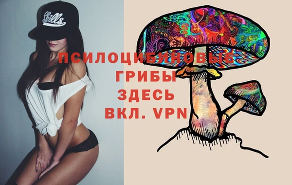 jwh Протвино