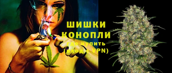 PSILOCYBIN Алексин