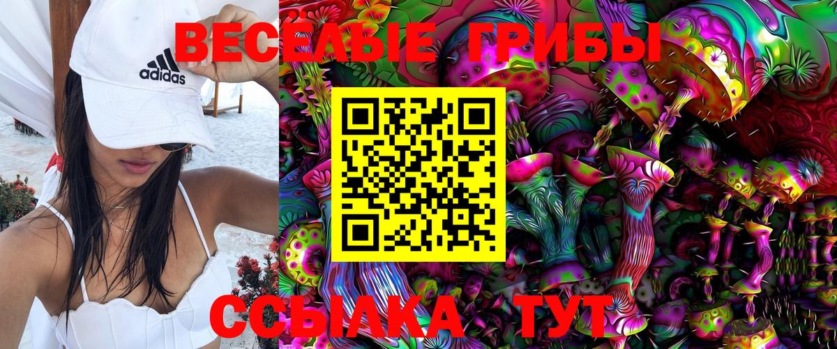 как найти наркотики  Псилоцибиновые грибы Psilocybe  Ярцево  Вход с VPN  Псилоцибиновые грибы Cubensis 